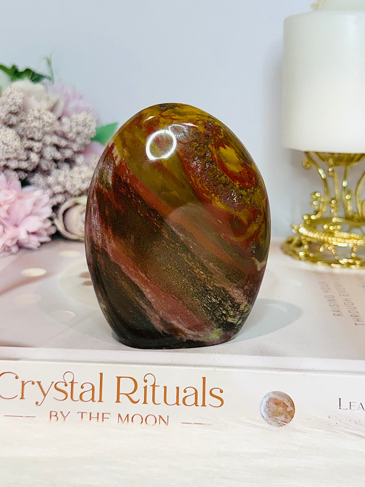 Petrified Wood Chunky Freeform 9cm