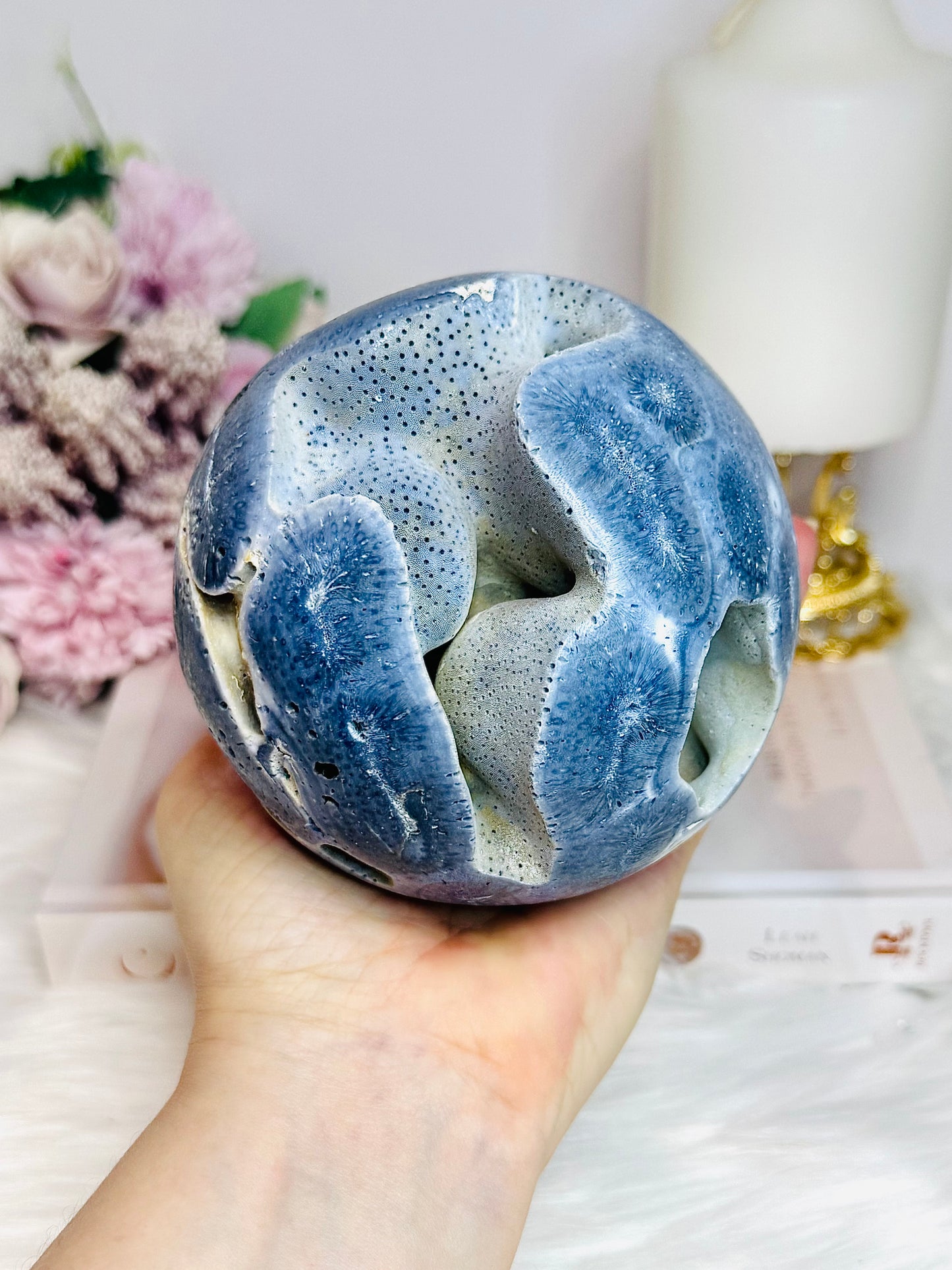 Natural Blue Coral Fossil 824g