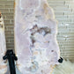 Statement Piece ~ Huge Pink Amethyst Druzy Chunky Butterfly Wings On Stand 33cm x 34cm 4.2KG