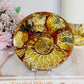 Natural Ammonite Fossil Shell Plate on Stand 12.5cm