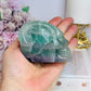 Fluorite Skull with Ram Horns 7.5cm 415g