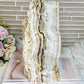 Huge Natural Aragonite Freeform | Slab 20cm Tall 2.87KG