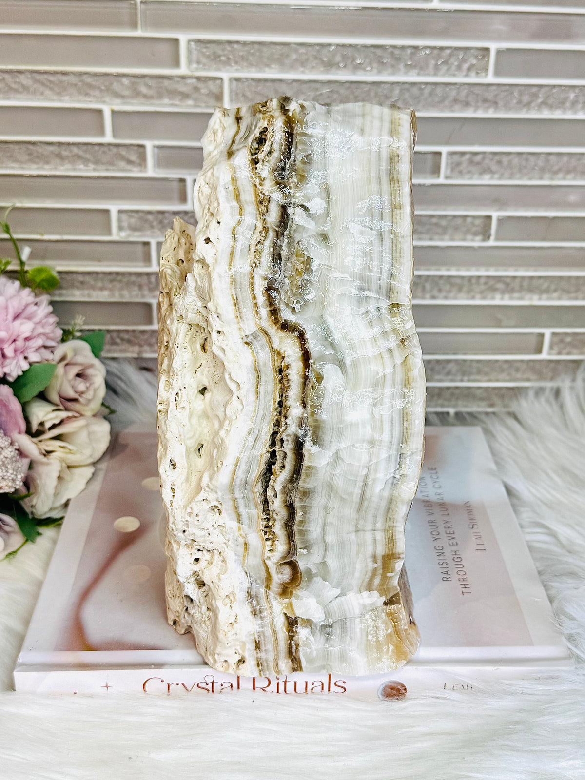 Huge Natural Aragonite Freeform | Slab 20cm Tall 2.87KG