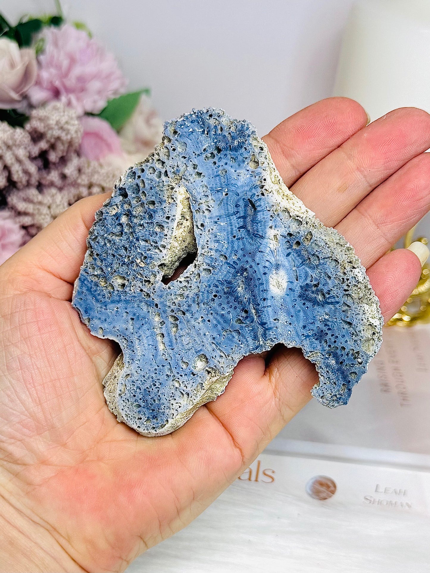 Natural Blue Coral Fossil Specimen 9cm
