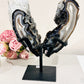 High Grade Uniquely Fabulous Large 24.5cm 1.6KG Sparkling Druzy Blue Agate Chunky Wings On Stand From Brazil