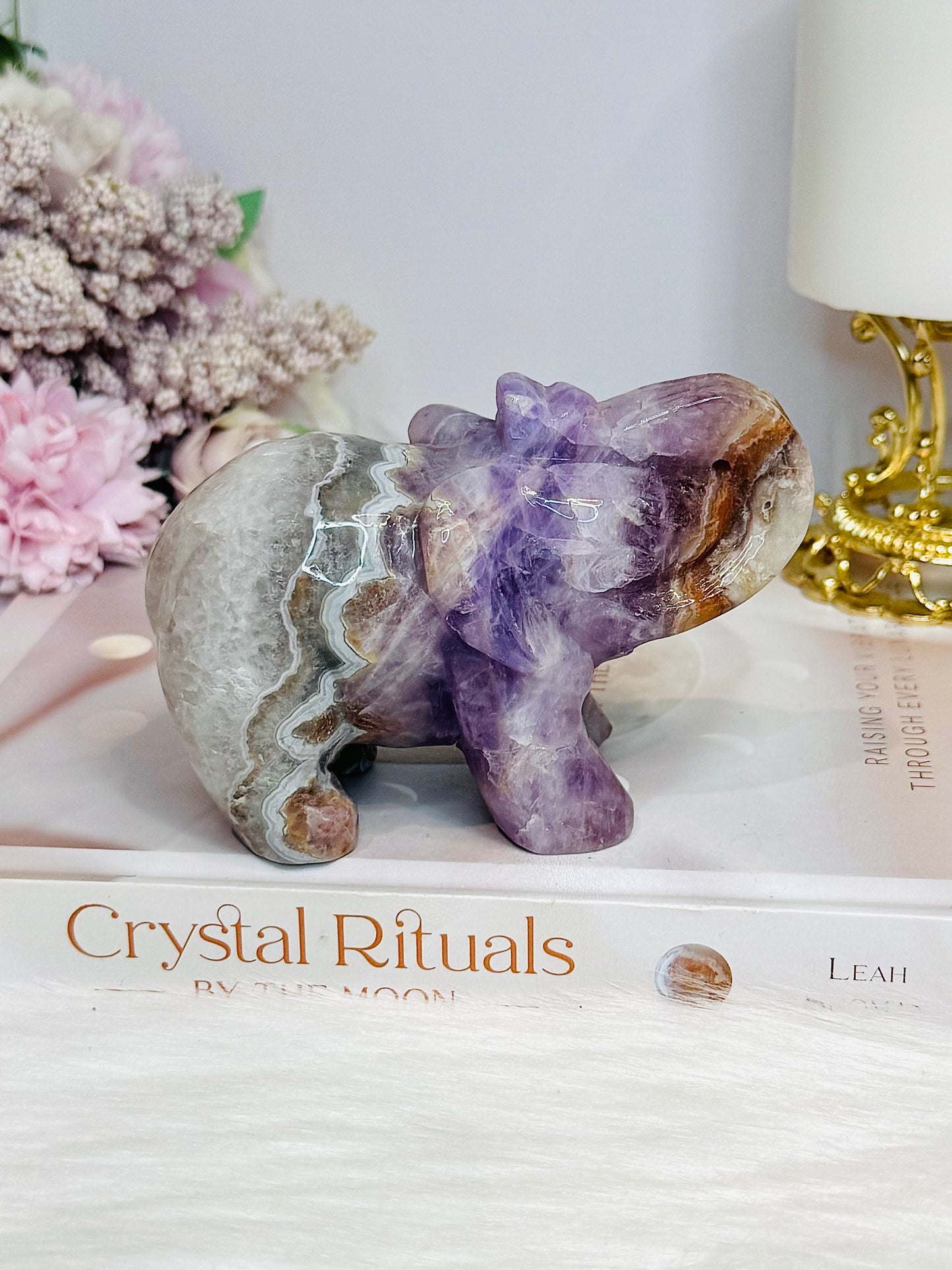 Amethyst X Mexican Lace Agate Elephant 11cm