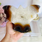 Large Chunky Druzy Agate 11.5cm 584gram Carved Butterfly