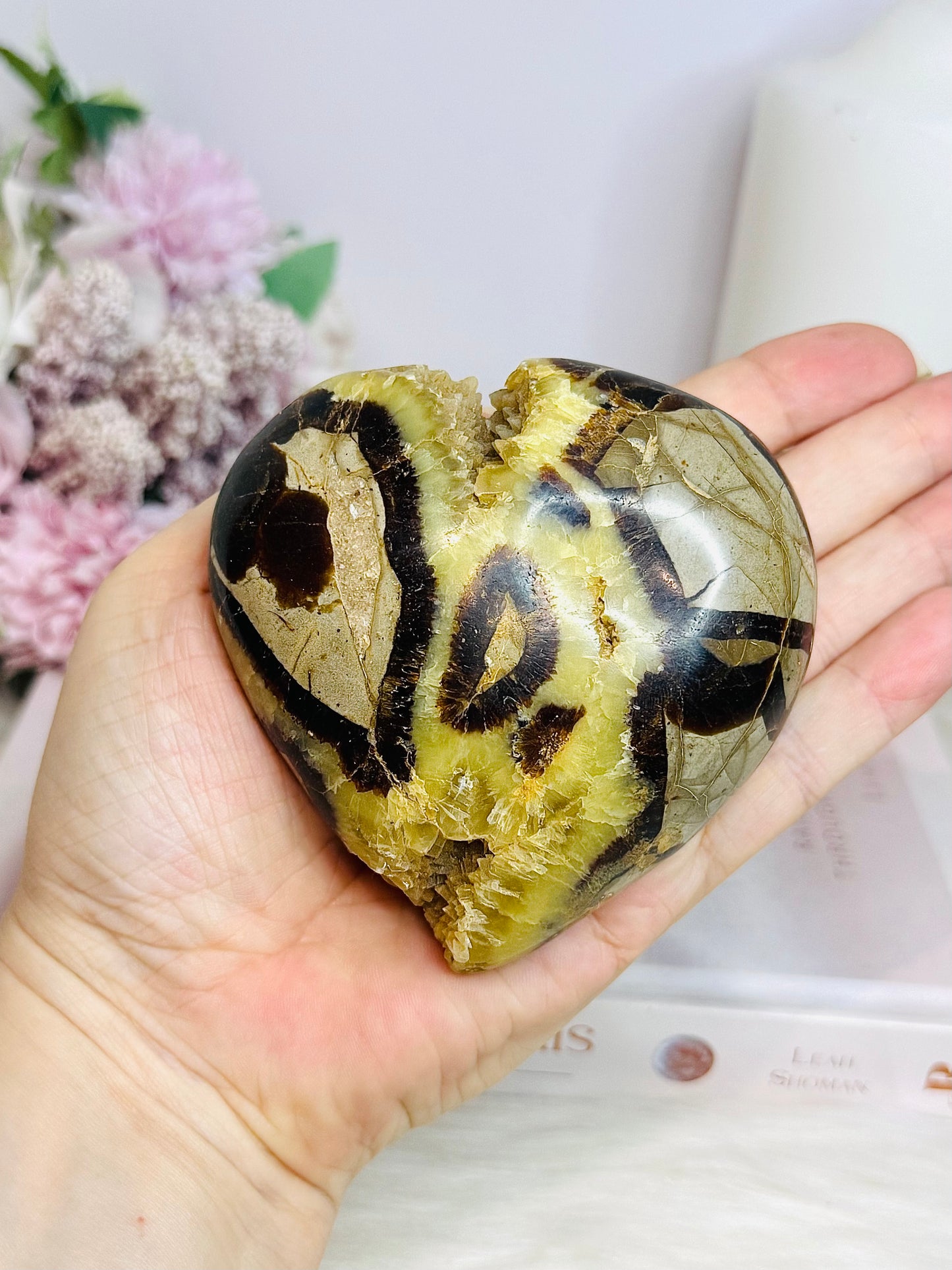 Large Septarian Druzy Sphere on Stand 373g