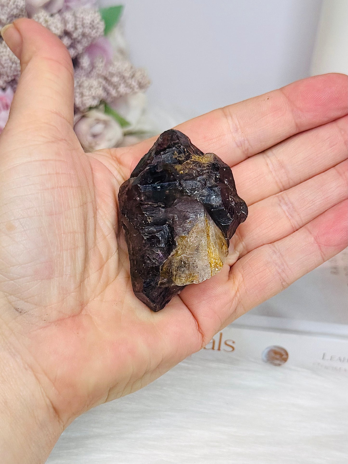 Rare Super Seven Sceptre Specimen 6cm