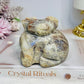 Moonstone Koala Bear with Blue Flash 473g