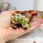 Money Agate Carved Bear 8cm