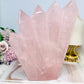 Statement Piece ~ Large Rose Quartz 5 Point Tower 19cm 1.16KG