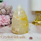 Flower Agate Flame | Freeform 10cm 246g