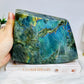 Large Labradorite Freeform Full of Flash 18cm 1.6KG