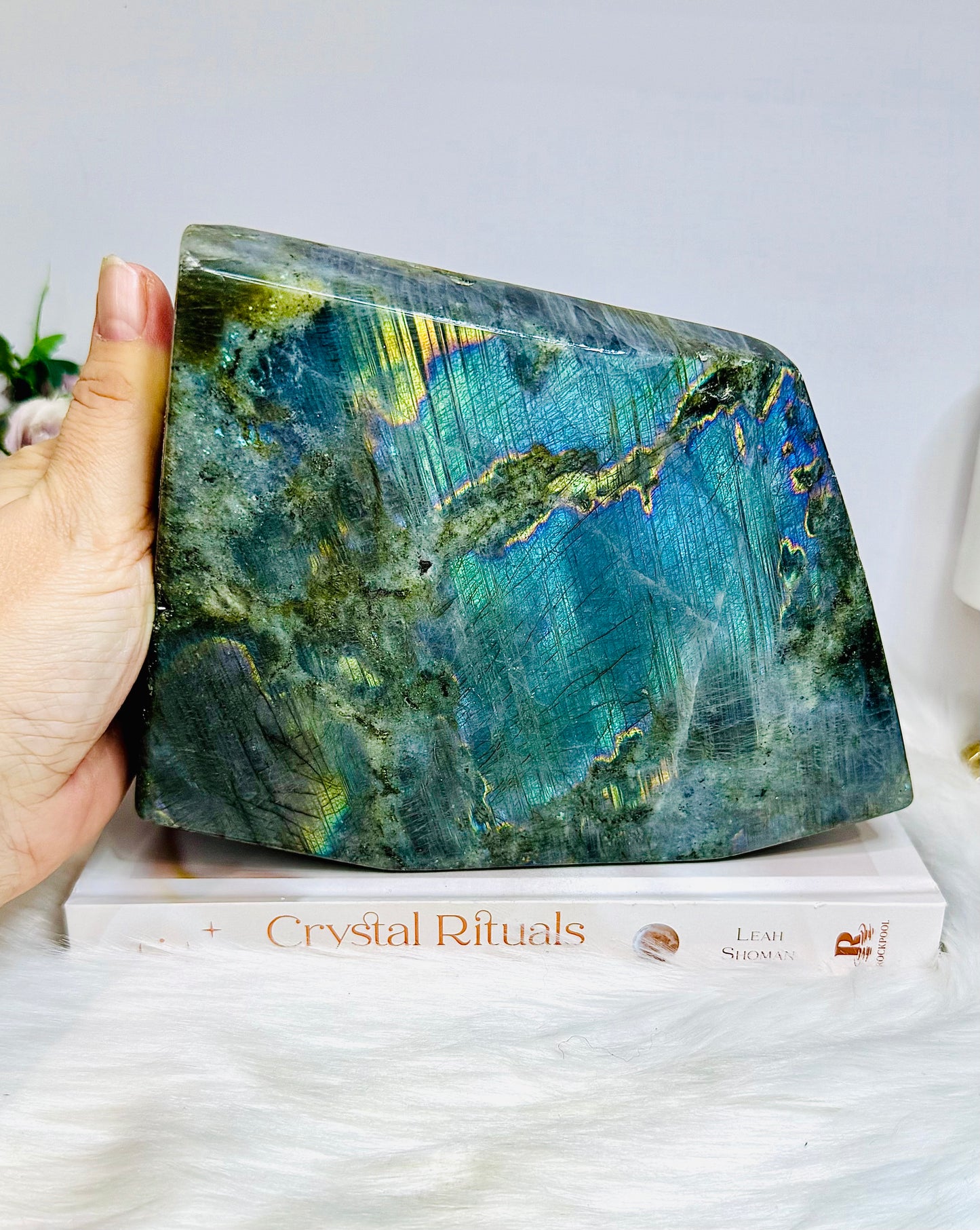 Large Labradorite Freeform Full of Flash 18cm 1.6KG