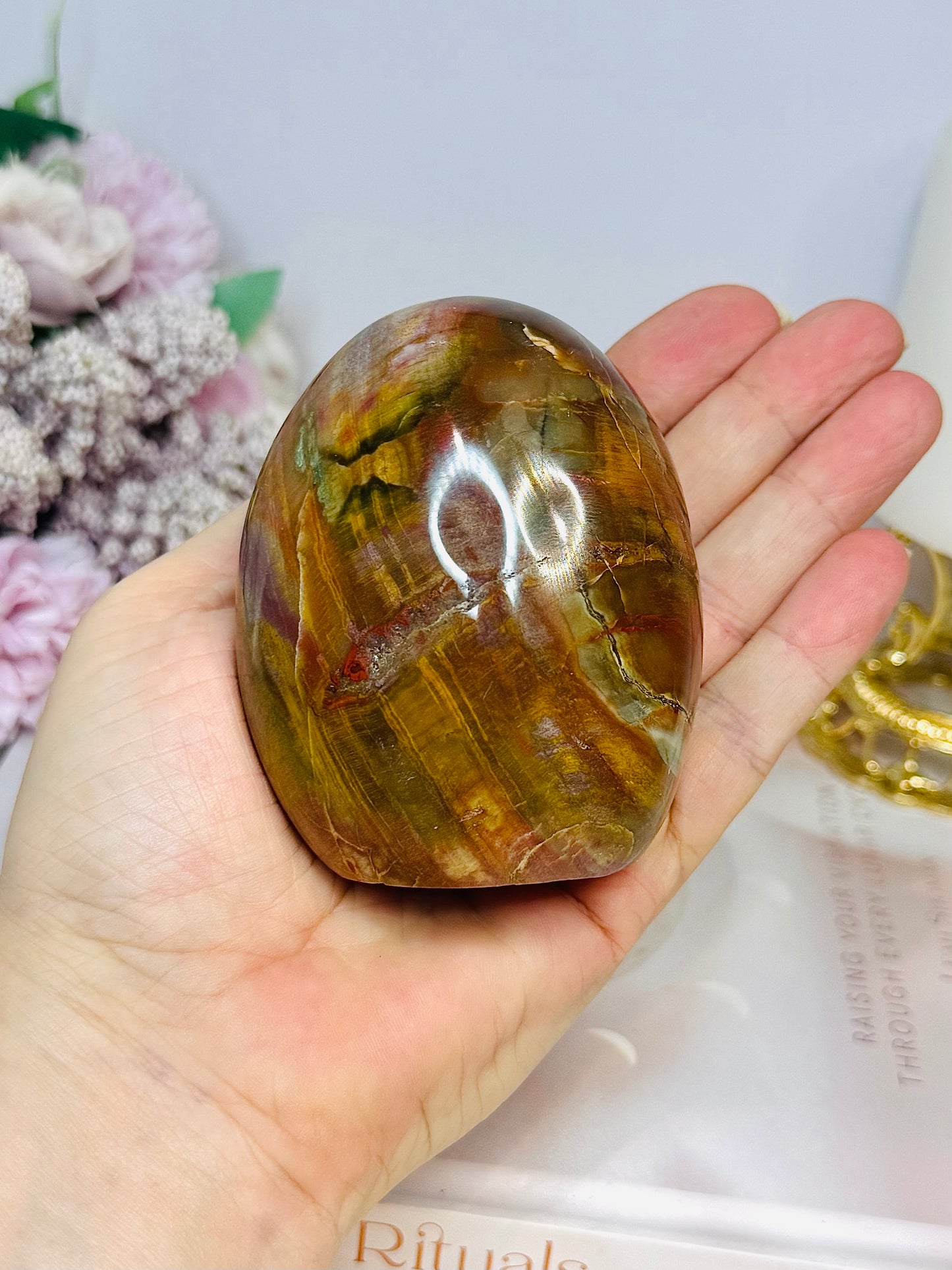 Petrified Wood Chunky Freeform 8cm 353g