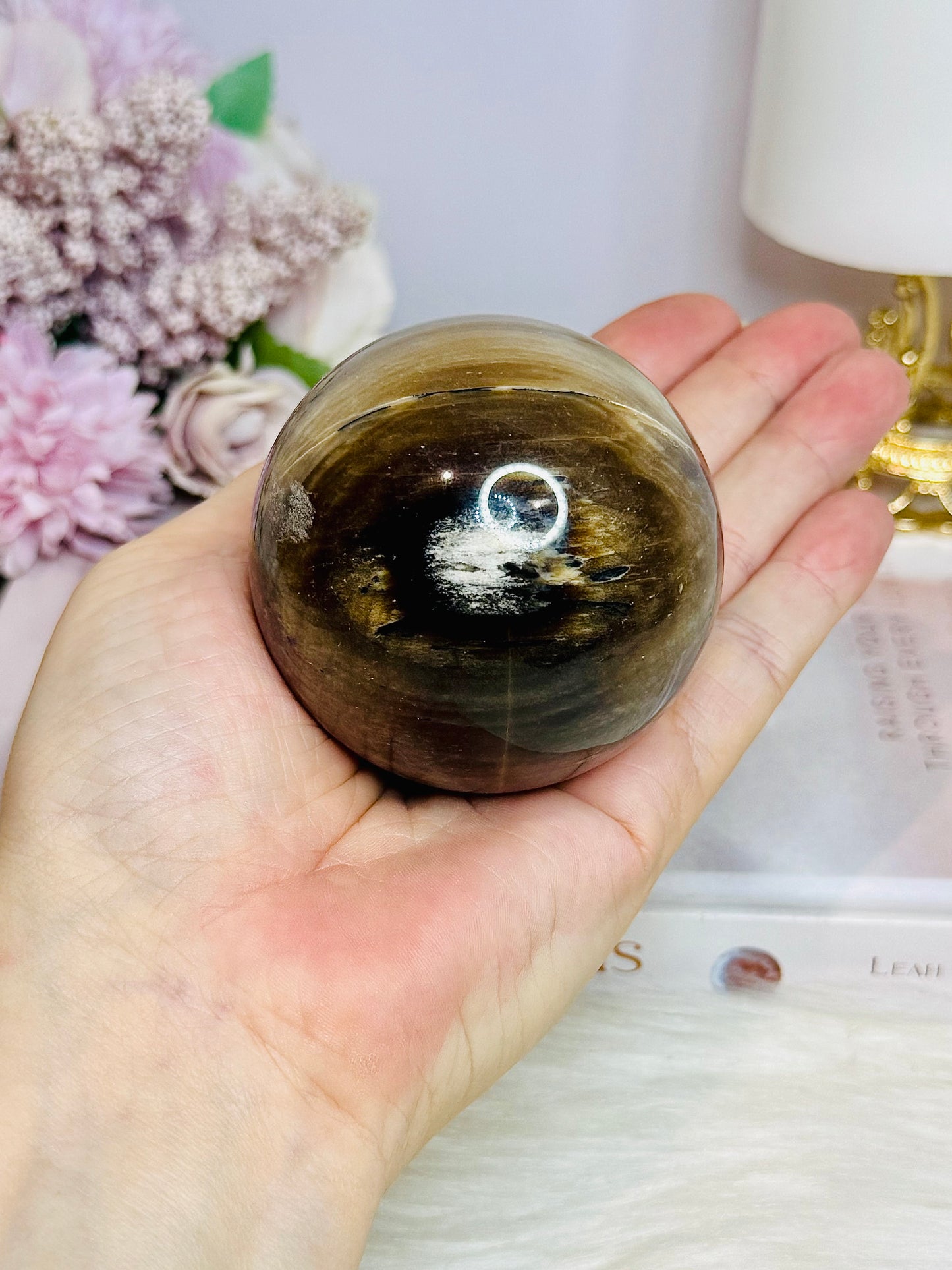 Petrified | Fossilised Wood Sphere on Stand 345g