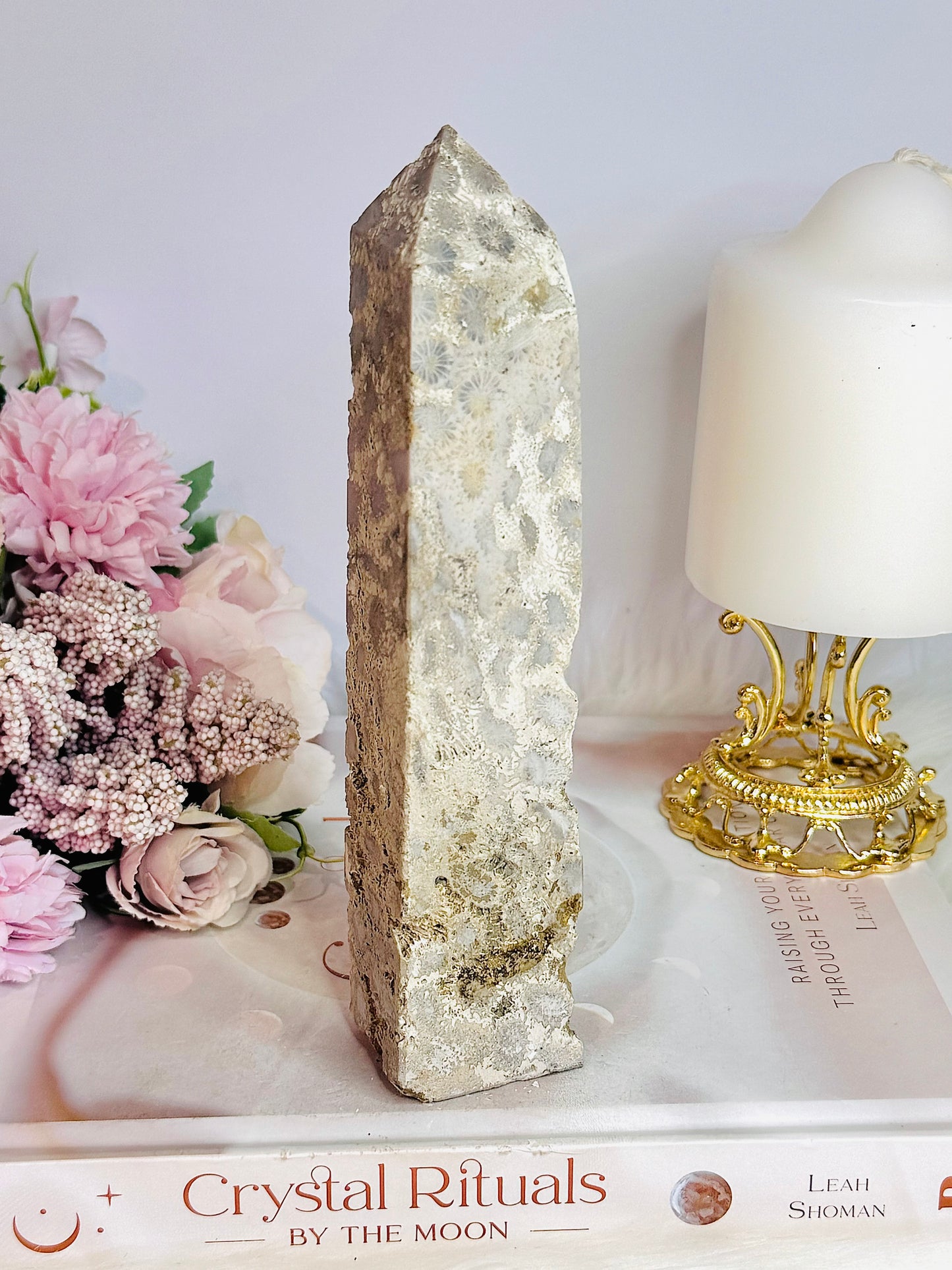 Natural Large Fossil Coral Tower 17.5cm