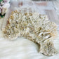 Large Natural Gypsum Selenite Specimen 21cm 578g