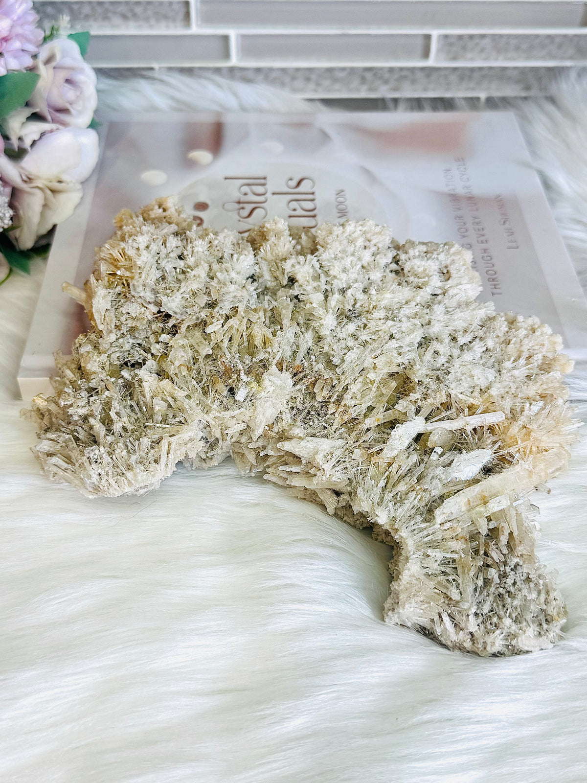 Large Natural Gypsum Selenite Specimen 21cm 578g