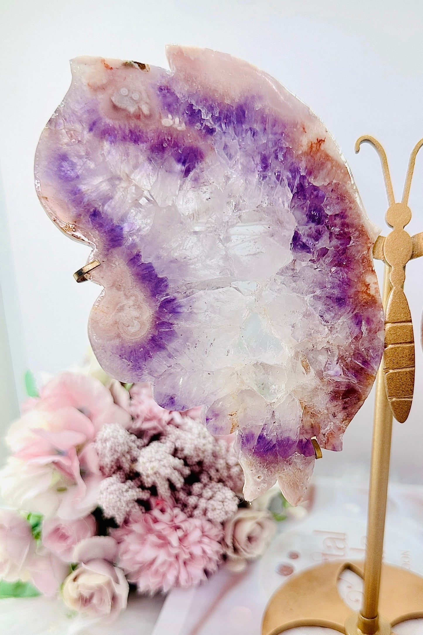 Classy & Fabulous Large Rare Amethyst X Flower Agate Carved Butterfly Wings On Gold Stand 24cm From Brazil