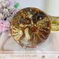 Natural Ammonite Fossil Shell Plate on Stand 12.5cm