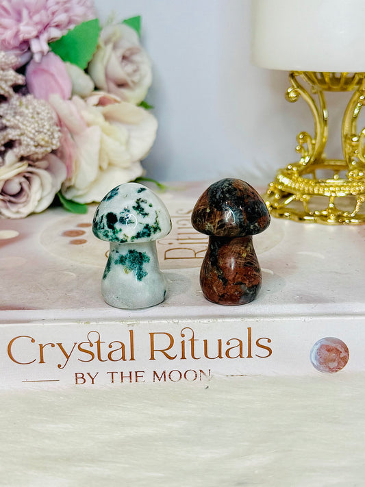Set of 2 Mushrooms ~ Moss Agate & Jasper