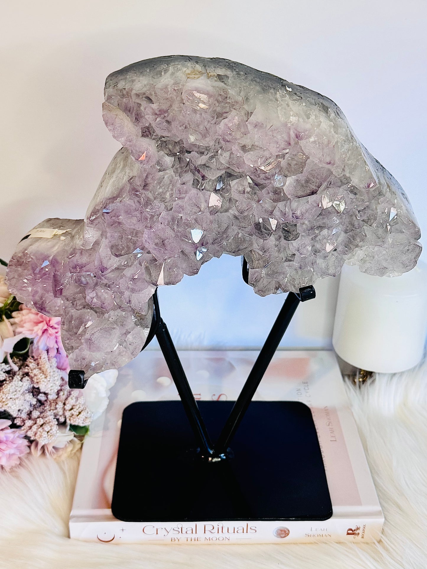 MASTER PIECE!!!! Huge 30cm 3.92KG Amethyst Cluster Carved Dolphin On Stand From Brazil