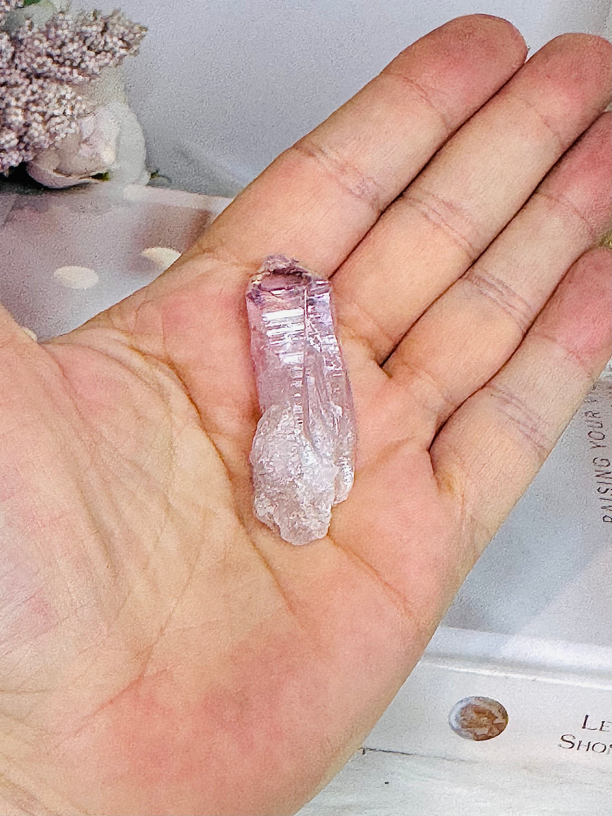 Vera Cruz Specimen 4.5cm