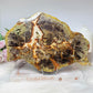 Large Agate Creek Thunder Egg Slab on Stand 25cm