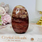 Petrified Wood Freeform 9cm 304g