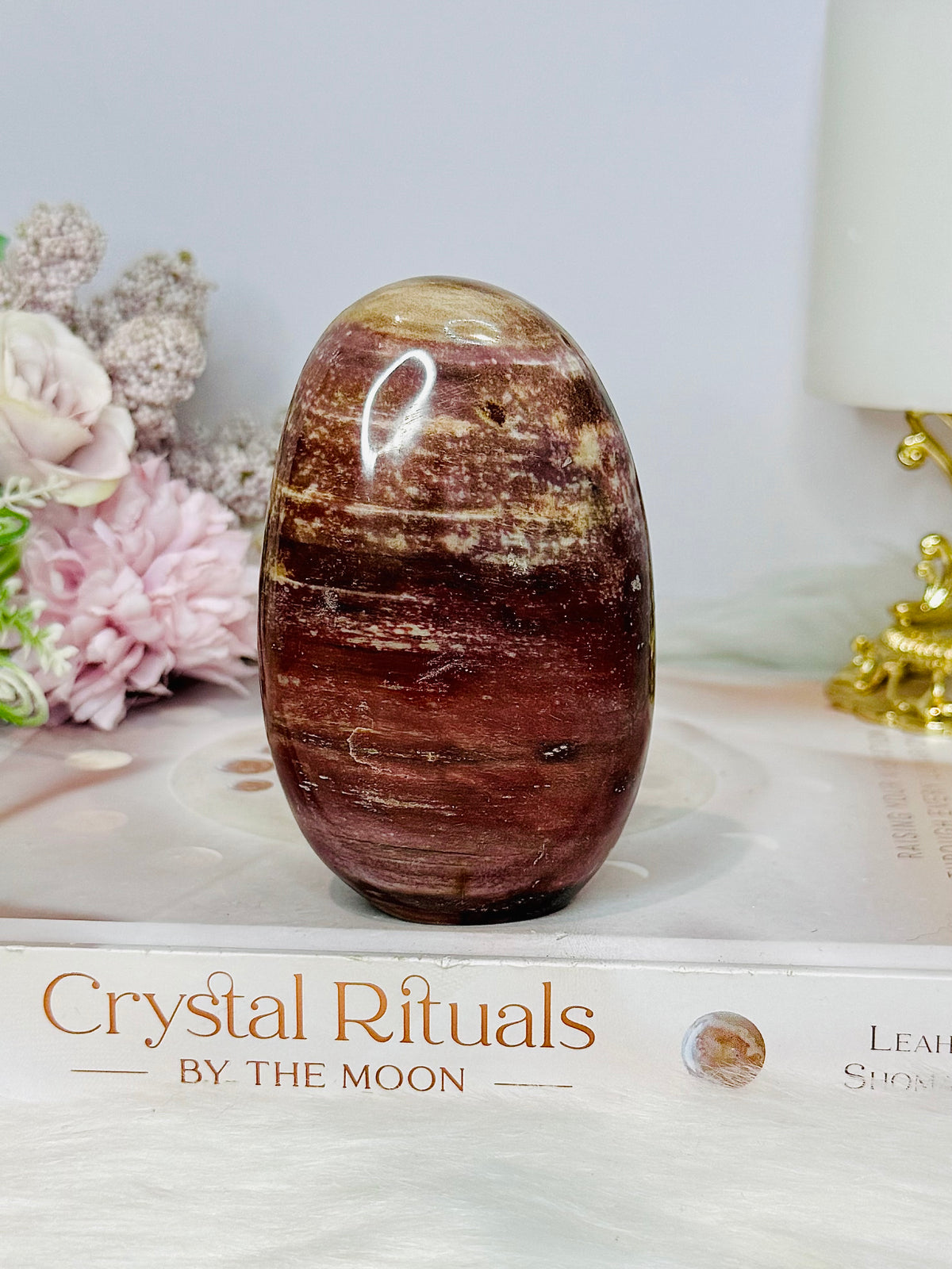 Petrified Wood Freeform 9cm 304g