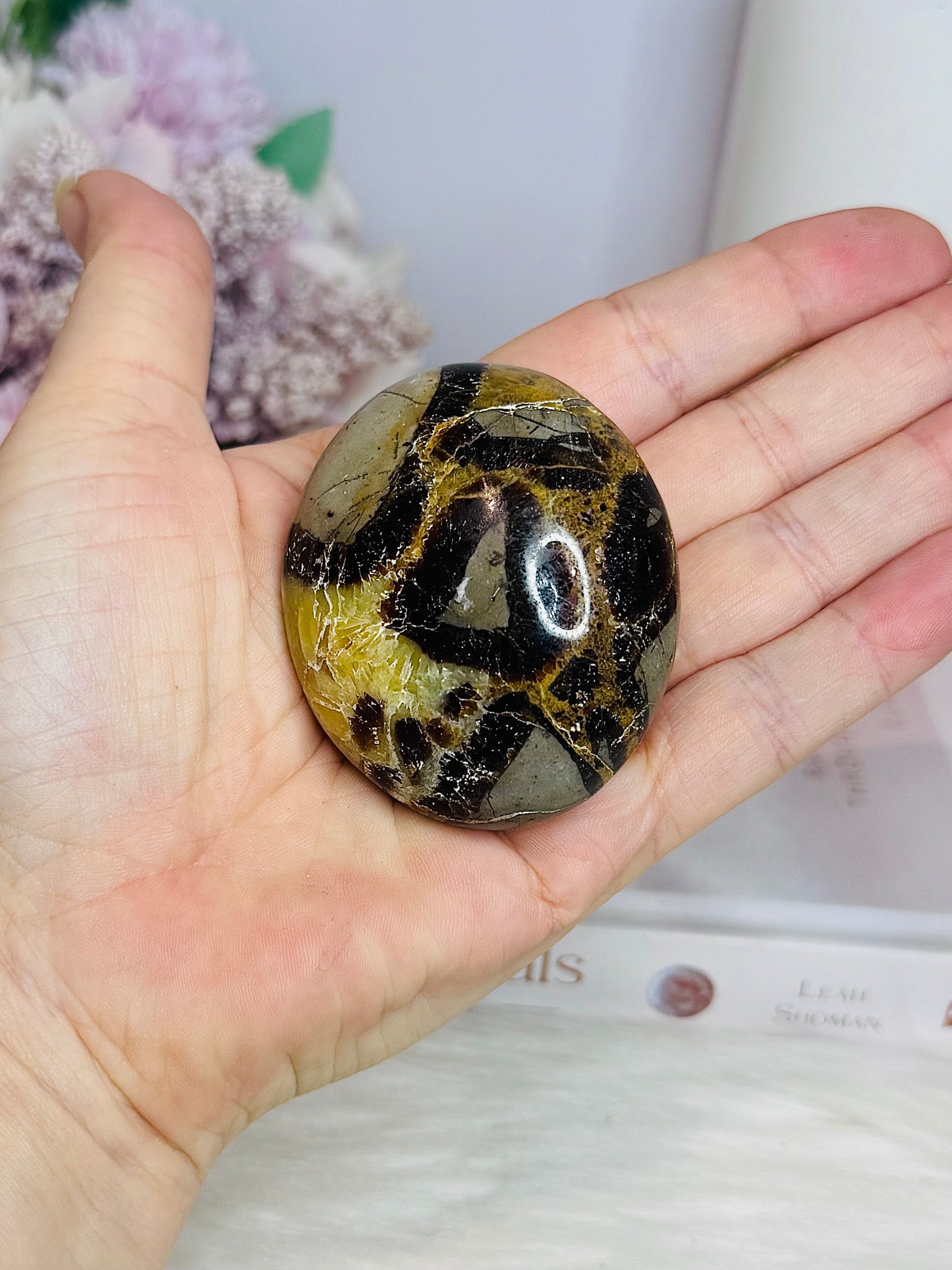 Large Septarian Palm Stone