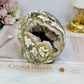 Large Money Agate Druzy Skull 751g
