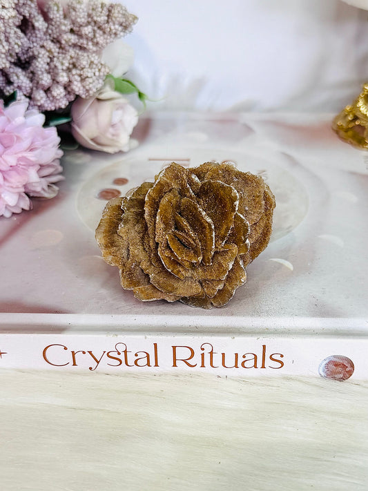 Large Natural Desert Rose Specimen 6cm