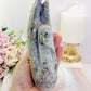 Elegant & Graceful ~ Large 17cm 788gram Ocean Jasper Swan Carved to Perfection