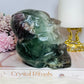 Large Fluorite Carved Skull with Bear Head 1.68KG