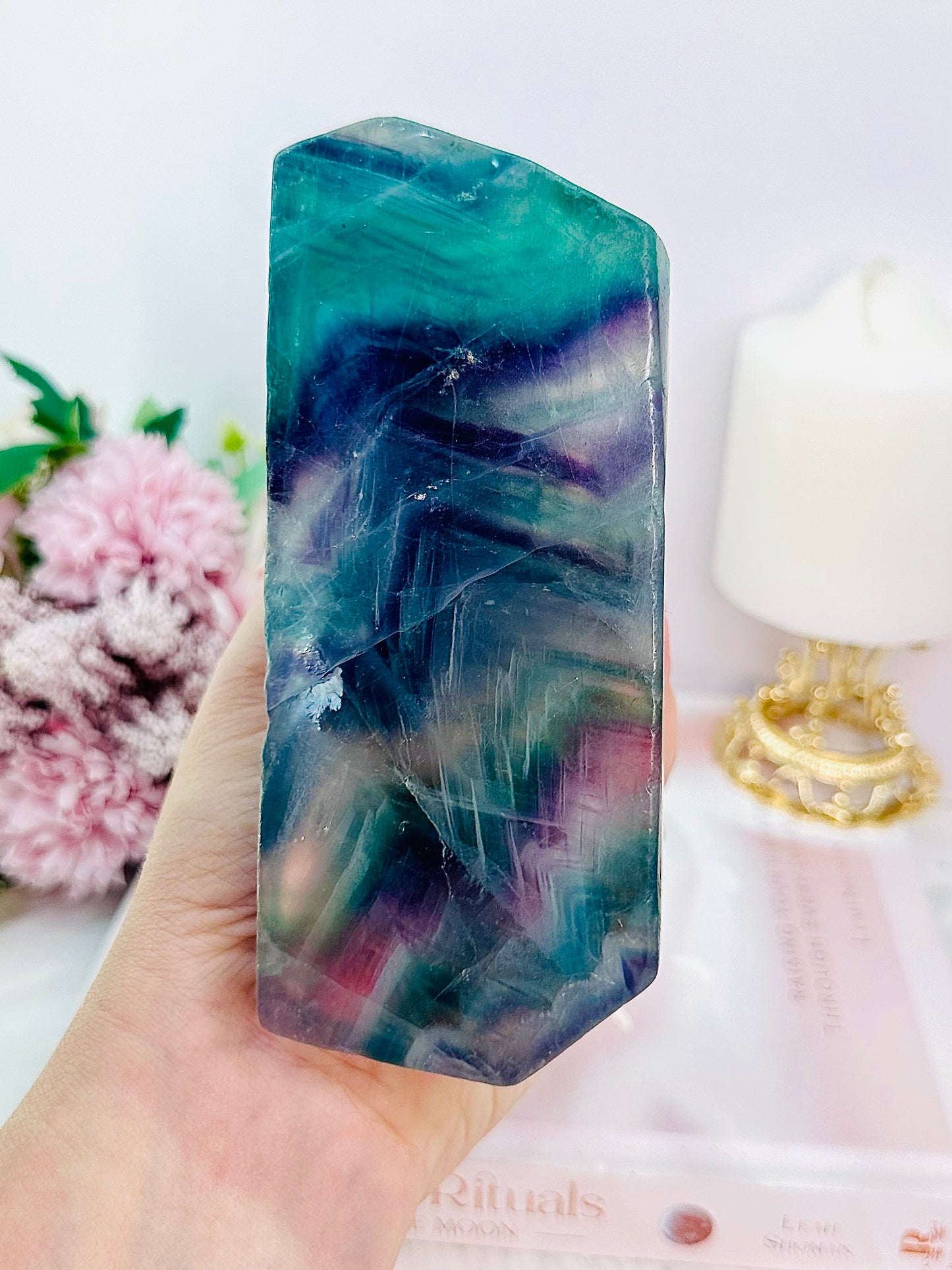 Absolutely Incredible Large 1.05KG Fabulous Fluorite Dinosaur Hand Carving