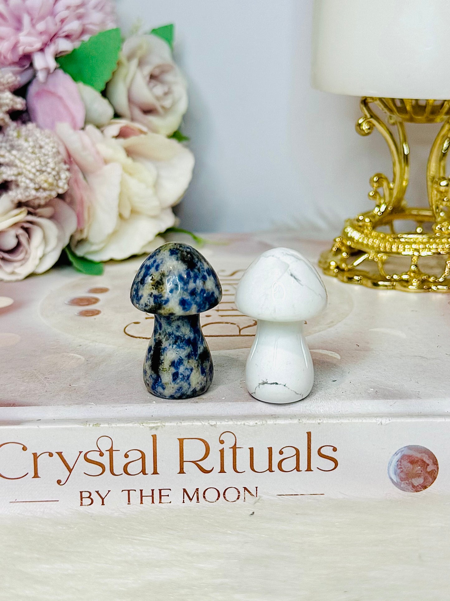 Set of 2 Mushrooms ~ Sodalite & Howlite