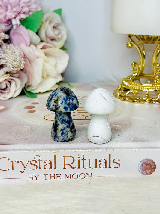 Set of 2 Mushrooms ~ Sodalite & Howlite