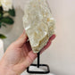 Large Natural Gold Mica Specimen On Stand 20cm 545grams