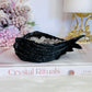 Beautiful Black Angel Wings Filled with Gorgeous Super Seven Chips