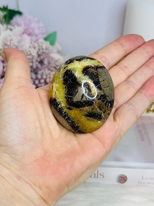 Large Septarian Palm Stone
