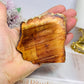 Natural Petrified Wood Slab 7.5cm 145g