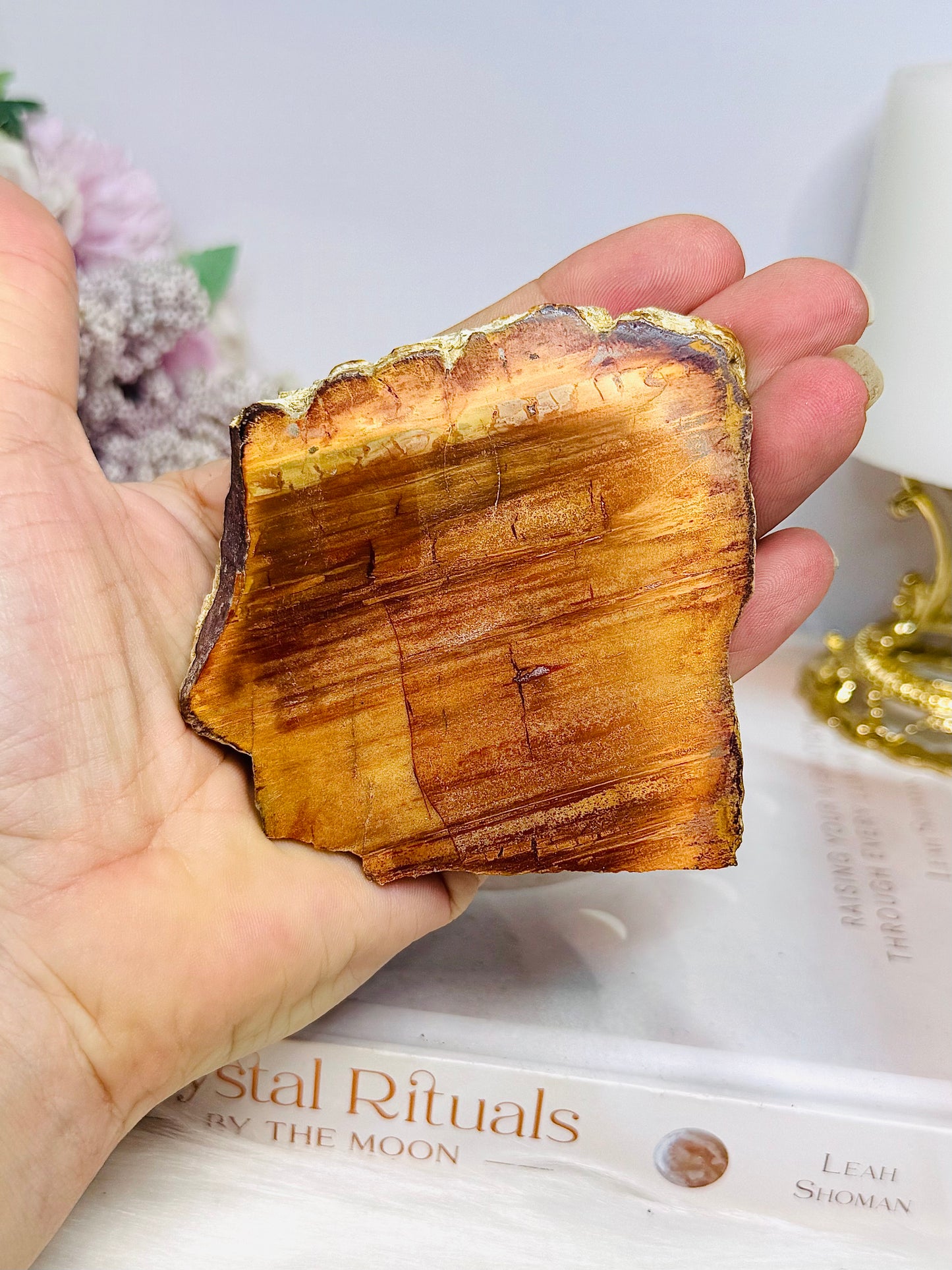 Natural Petrified Wood Slab 7.5cm 145g