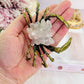 Stunning Large Rose Quartz Crab with Gold Metal Legs