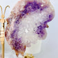 Classy & Fabulous Large Rare Amethyst X Flower Agate Carved Butterfly Wings On Gold Stand 24cm From Brazil