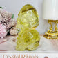 High Grade Citrine Carved Skulls with Rainbows 12cm 425g
