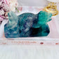 Absolutely Incredible Large 1.05KG Fabulous Fluorite Dinosaur Hand Carving