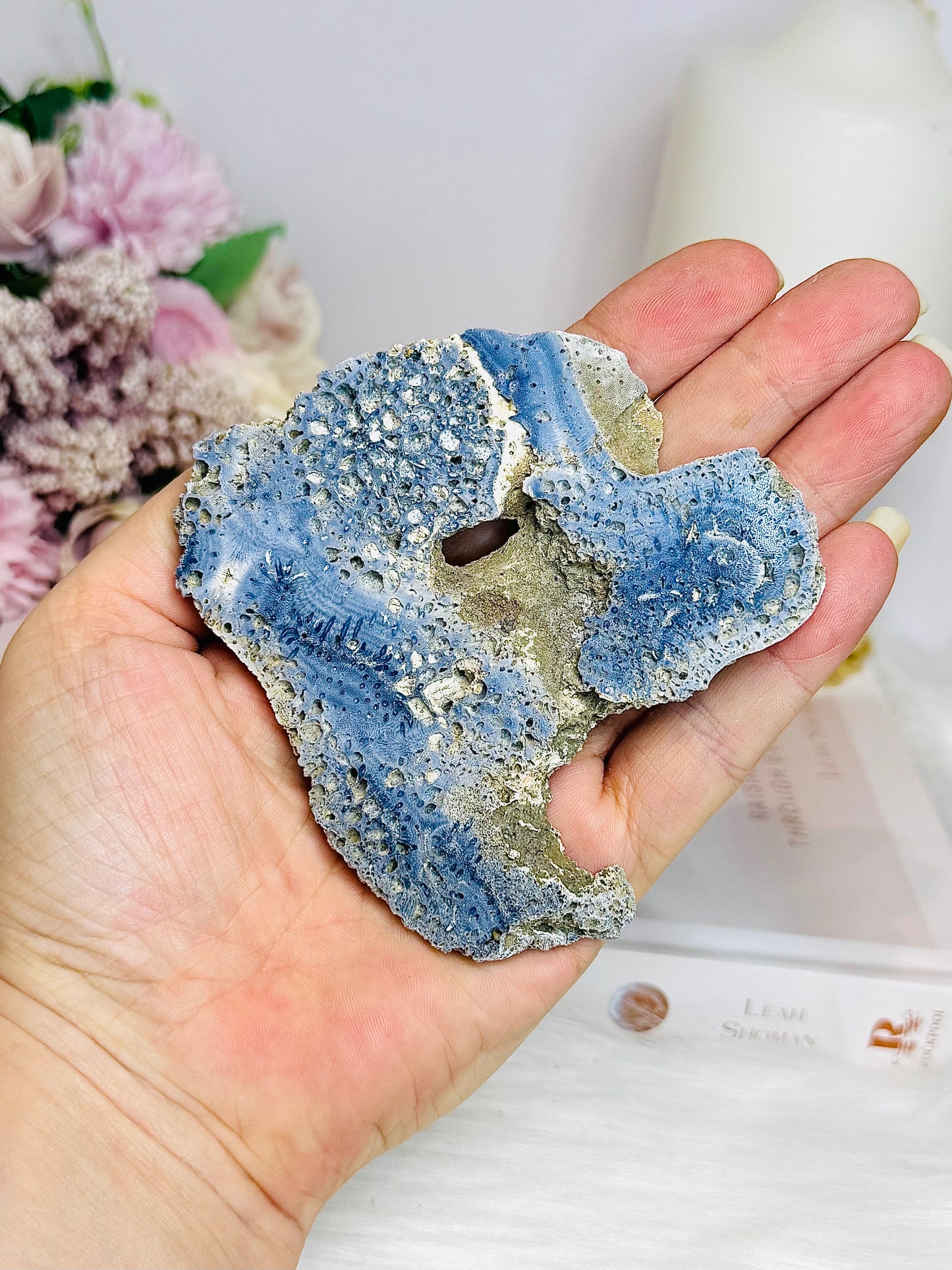 Natural Blue Coral Fossil Specimen 9cm